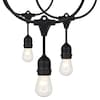 Satco 24-Foot Incandescent String Light Fixture with 12-S14 Lamps, 120 Volts S8035